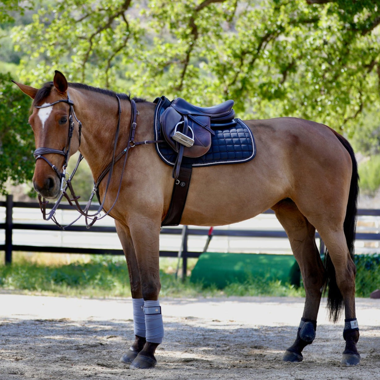 JUMP SADDLE PADS