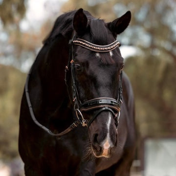 Black Leather Snaffle Bridles