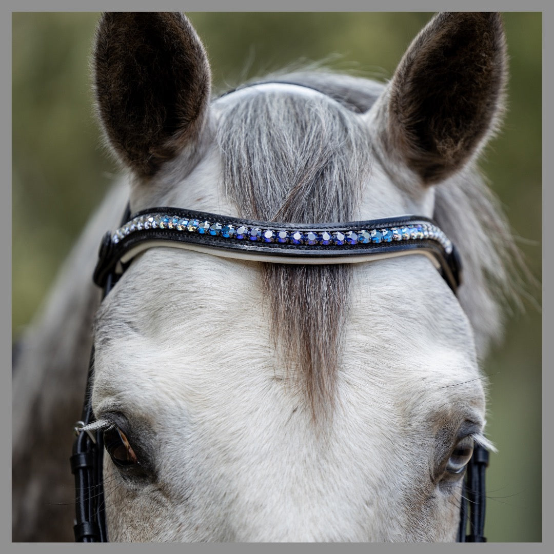 EVERY BROWBAND