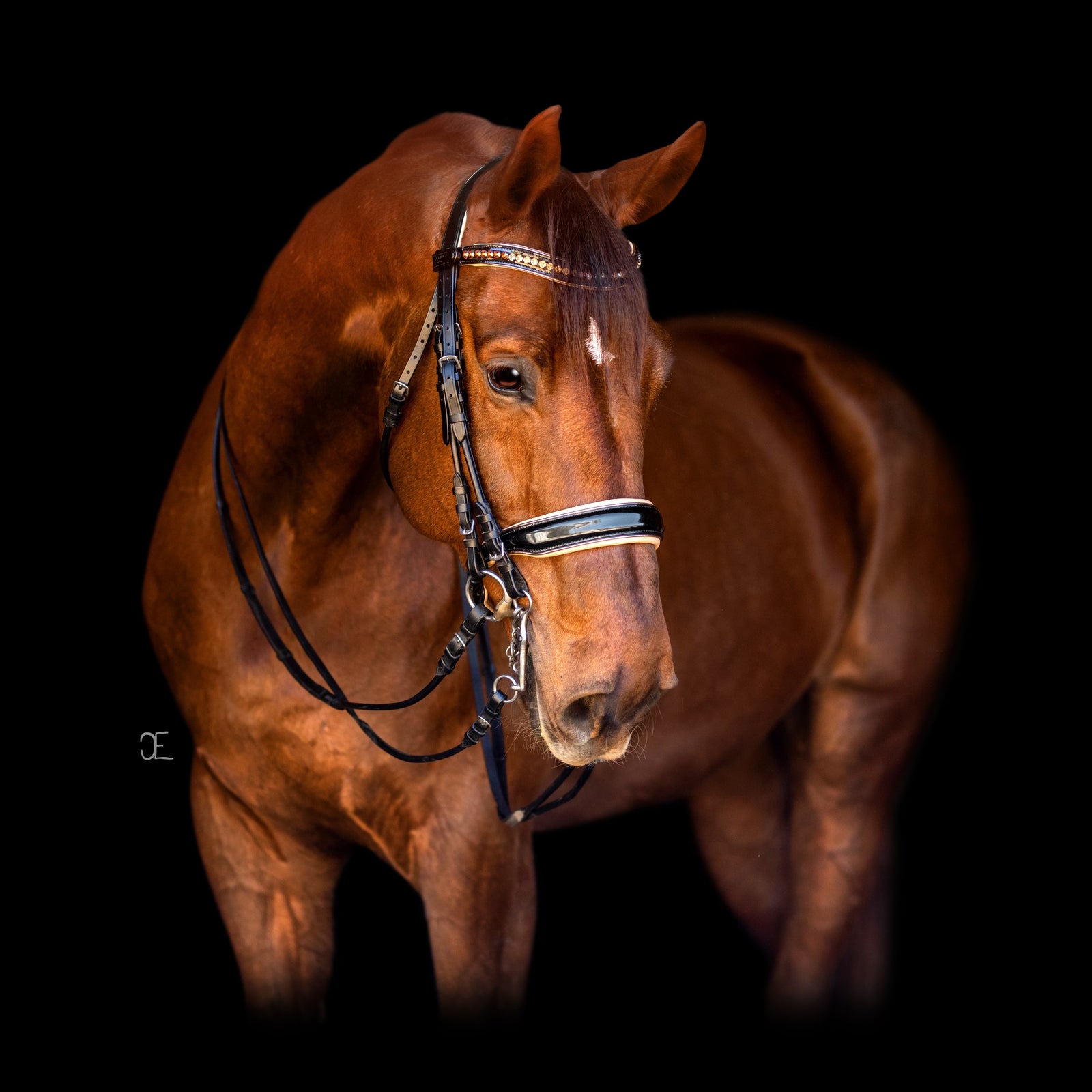 Black Leather Double Bridles