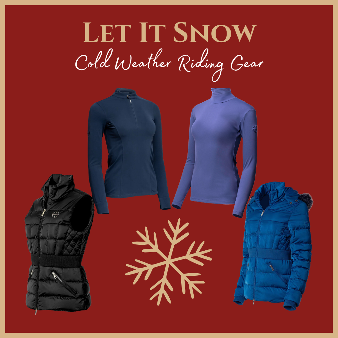 LET IT SNOW!  Cold Weather Riding Gear!