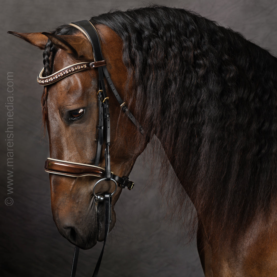 Equestrians In Paris Capsule Collection - Versailles 2024