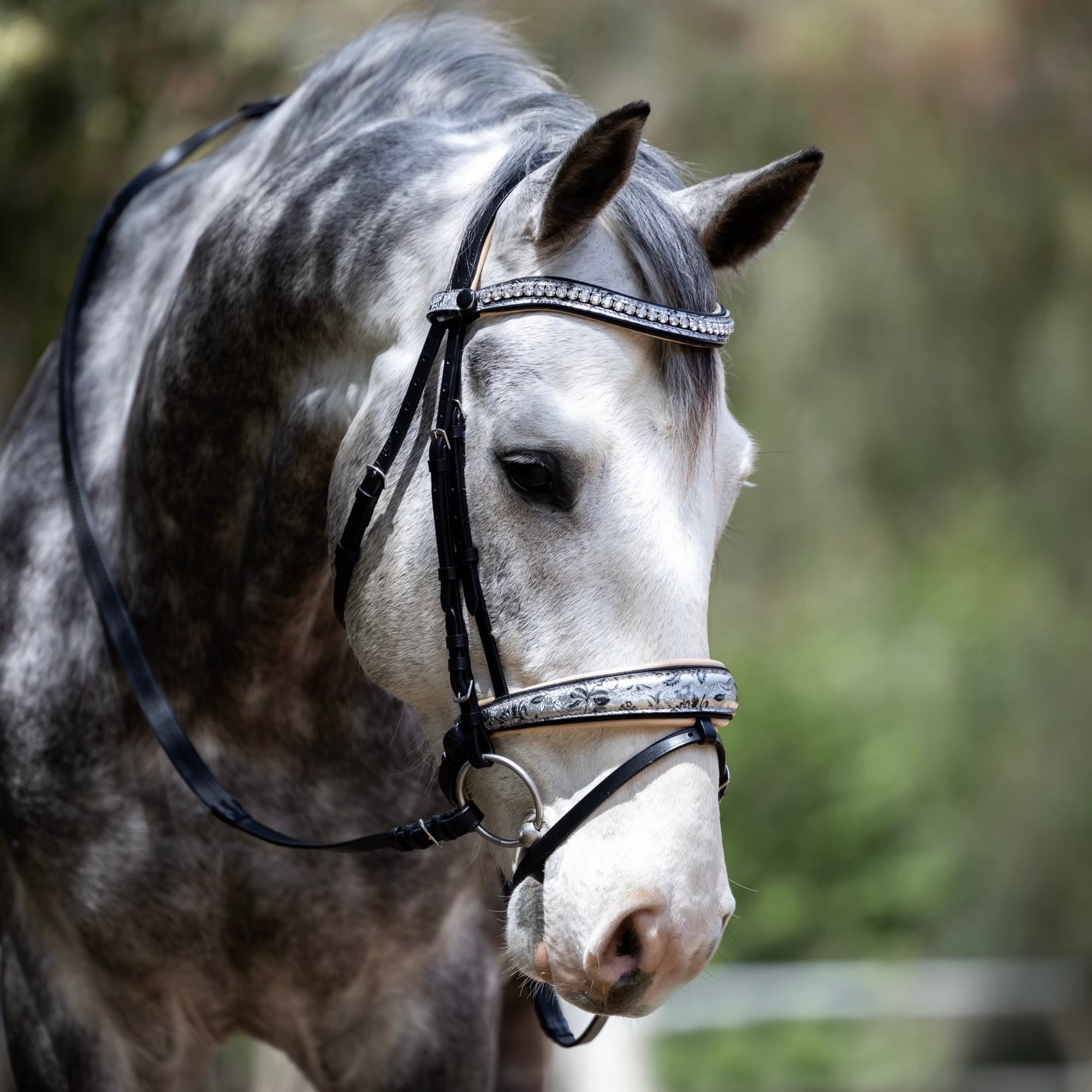 Specialty Leather & Limited Edition Snaffle Bridles
