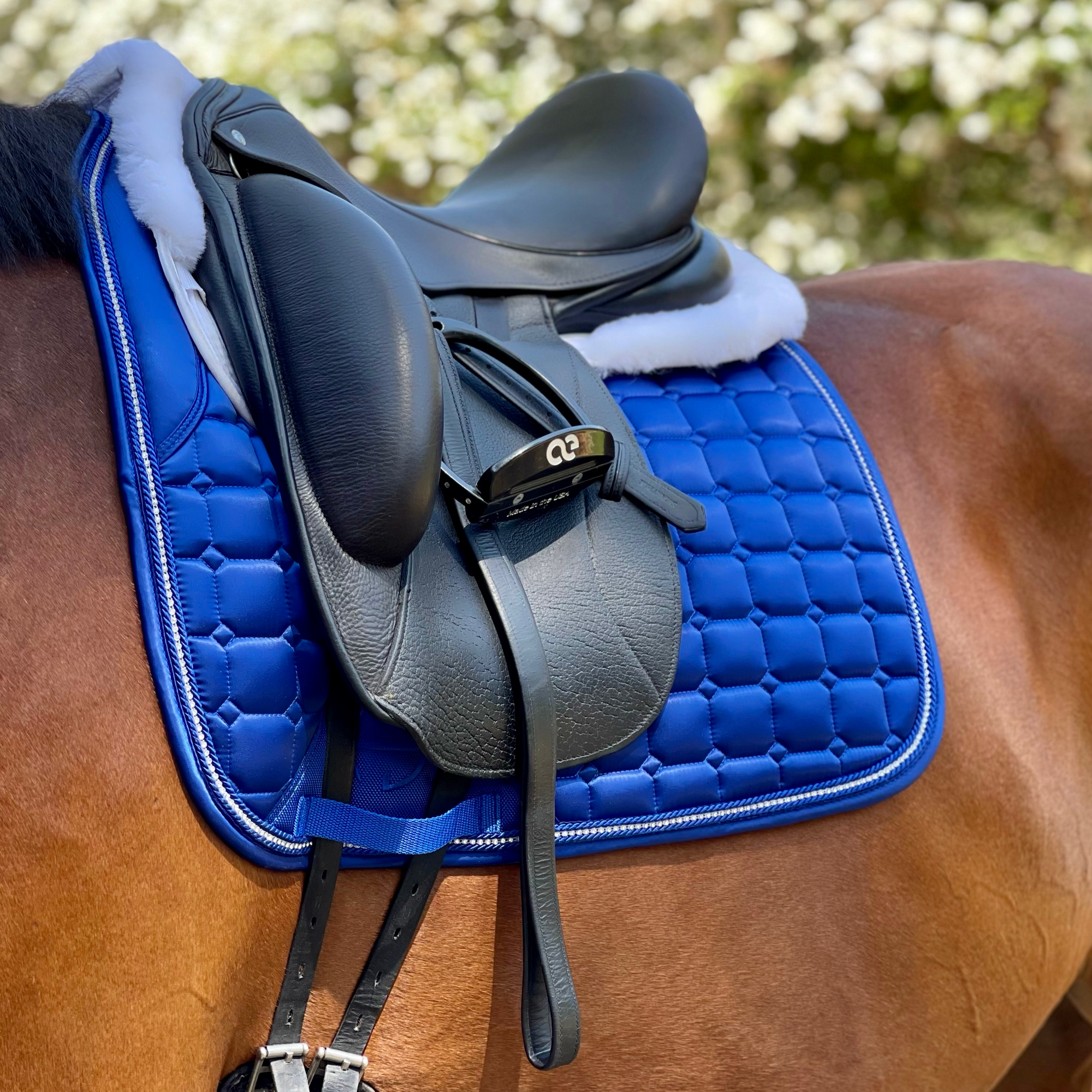 Royal Blue Dressage Saddle Pad