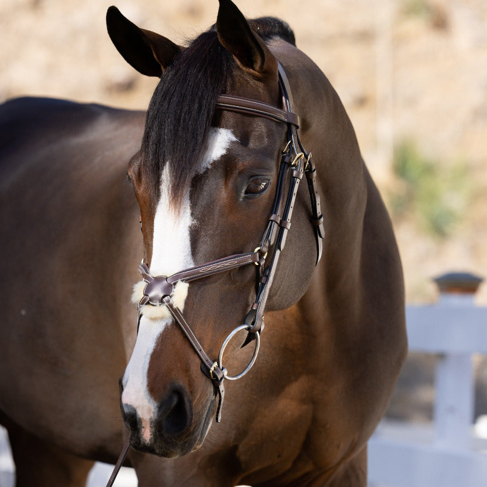 HUNTER-JUMPER BRIDLES