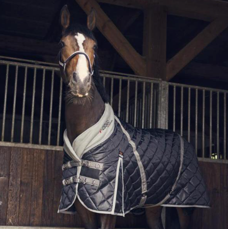 Horse Blankets & Sheets