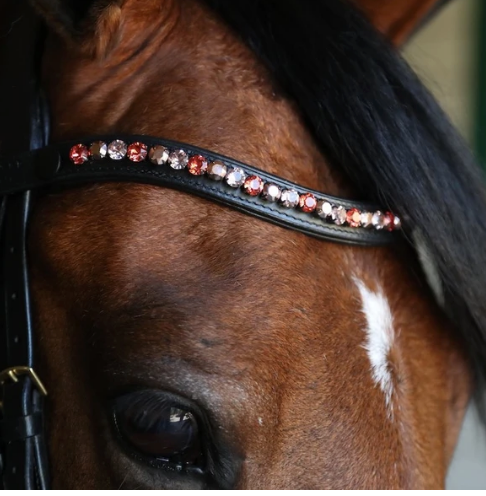 All Browbands