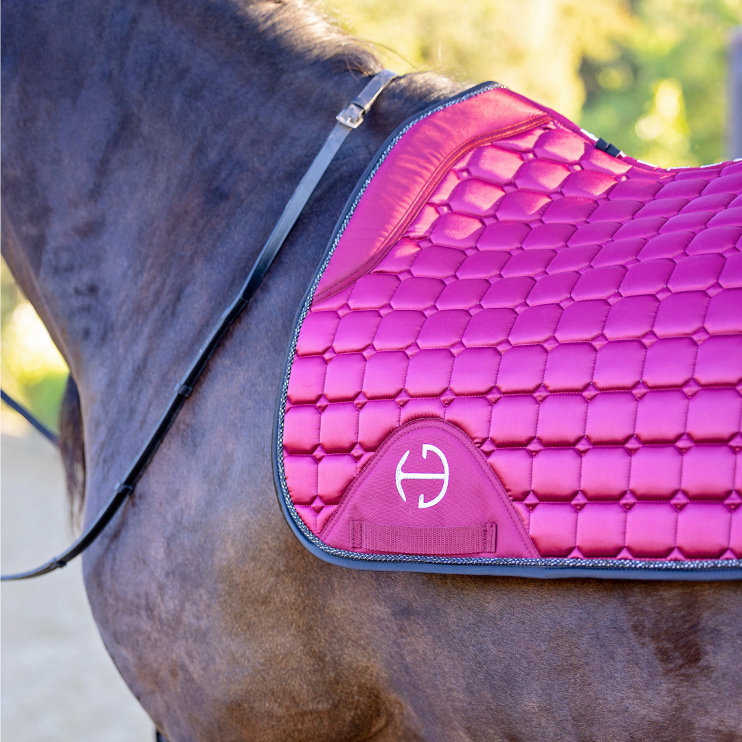 HORSE: SADDLE PADS & BOOTS