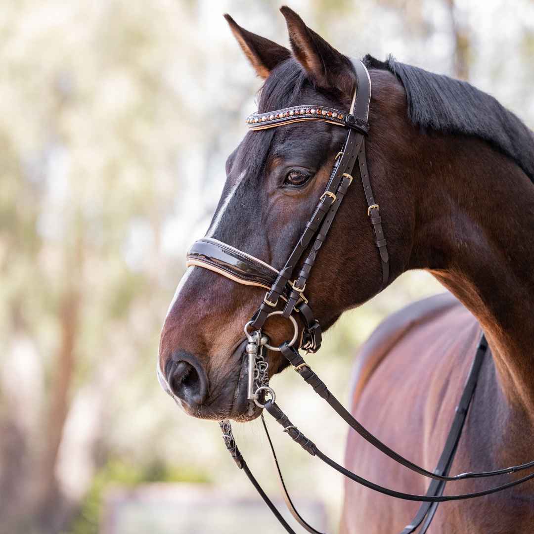 CLEARANCE BRIDLES - 40% OFF