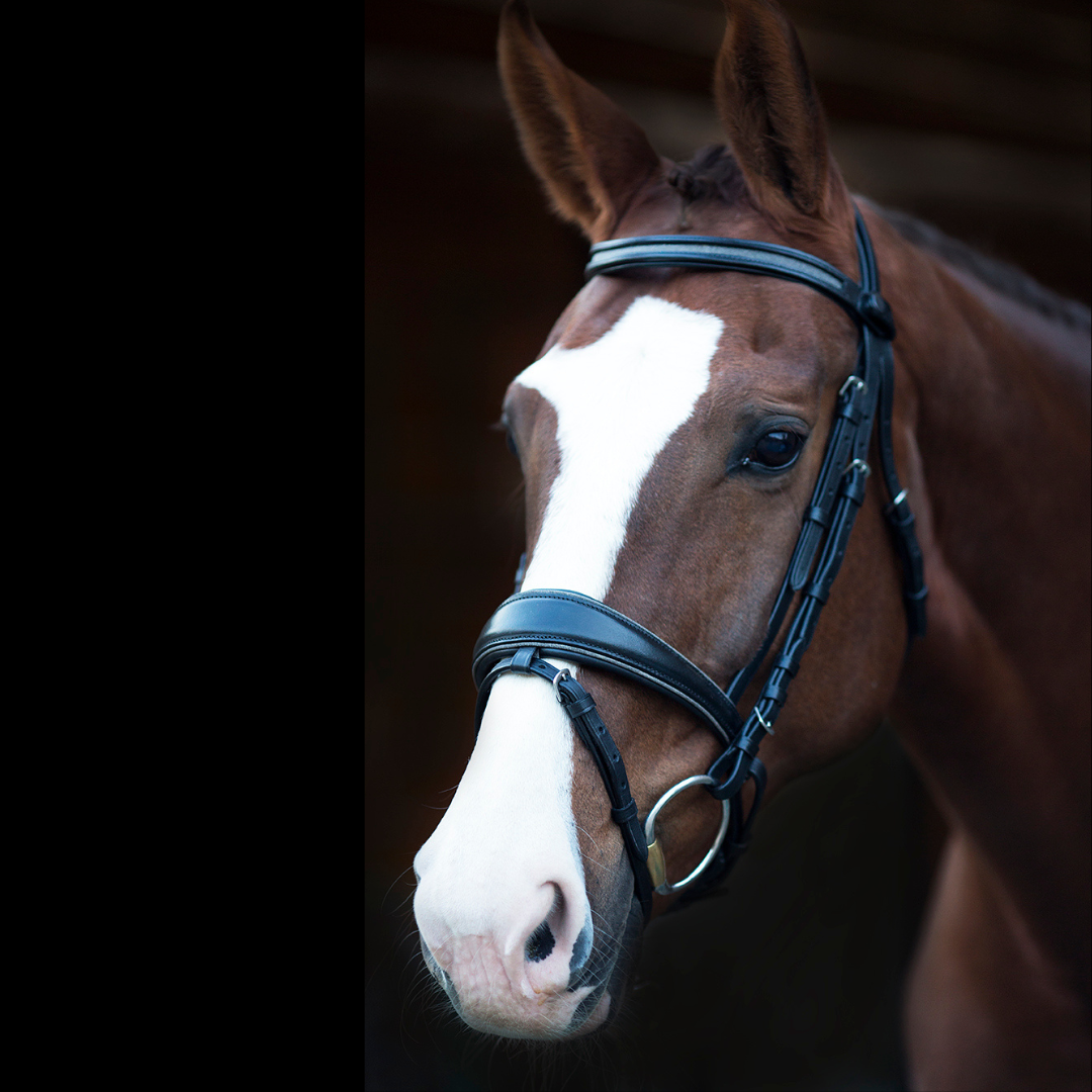 Natalia Black Leather Snaffle and Double Bridles