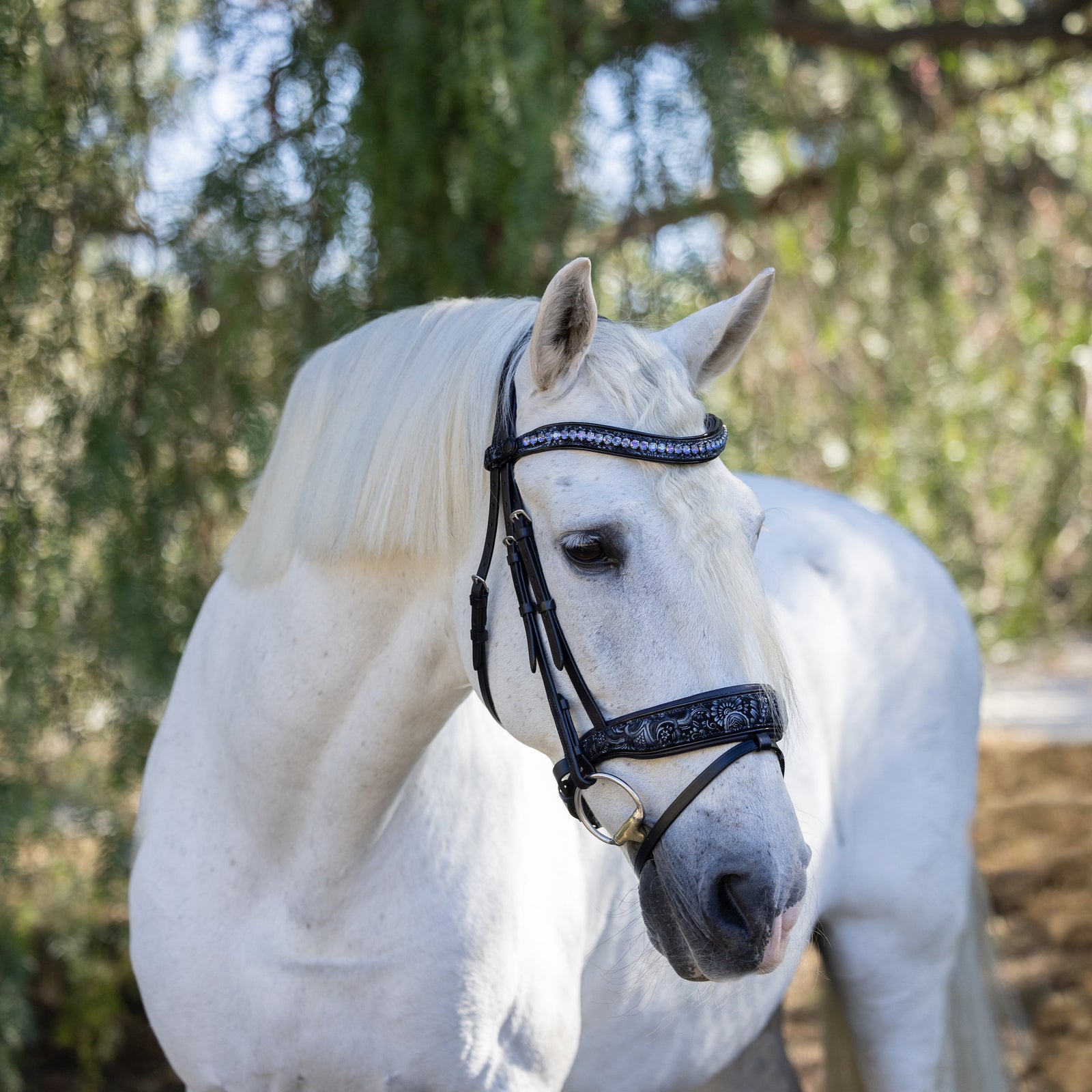 Navy Leather Snaffle Bridles