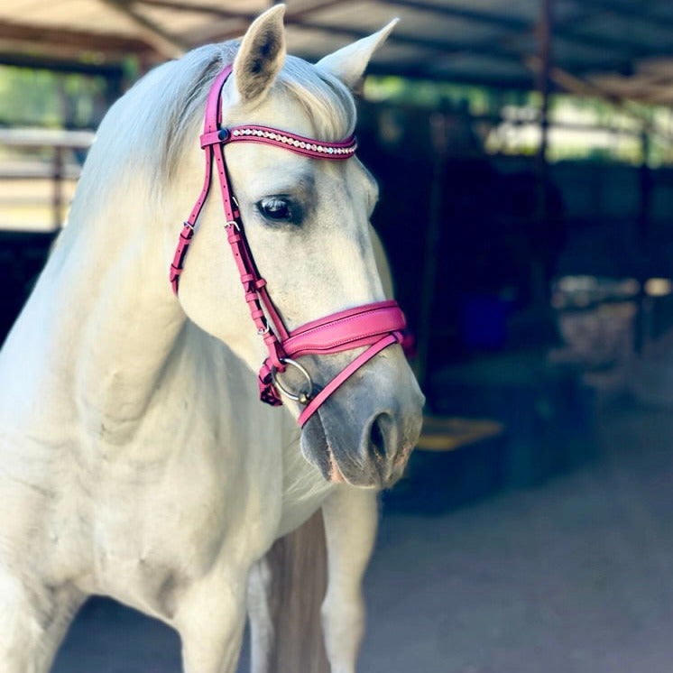 The Barbie Pink Leather Snaffle Bridle