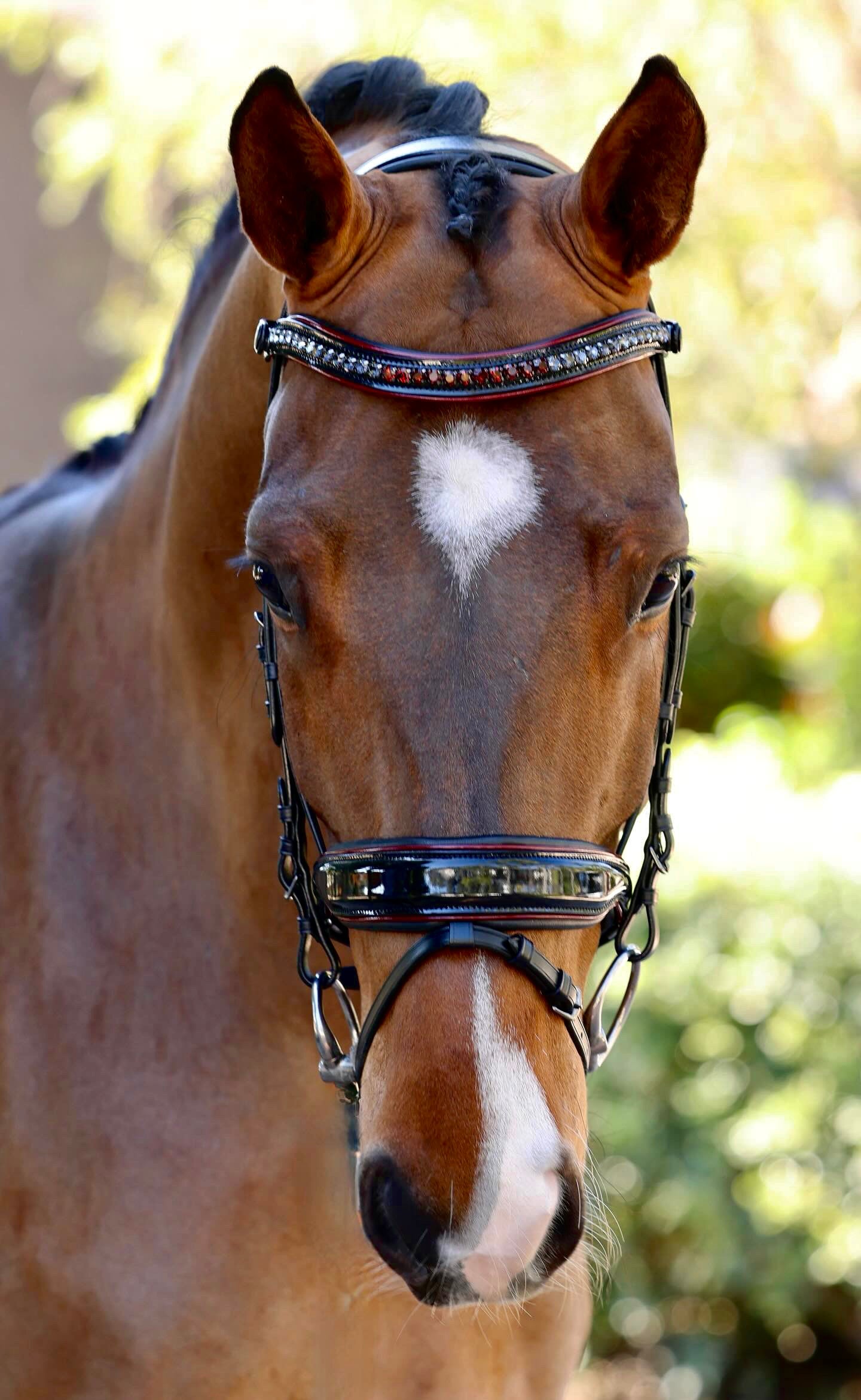 The Hayworth - Black Patent Snaffle with Burgundy Patent Piping