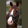 Valentina Black Patent Sparkle Snaffle Bridle