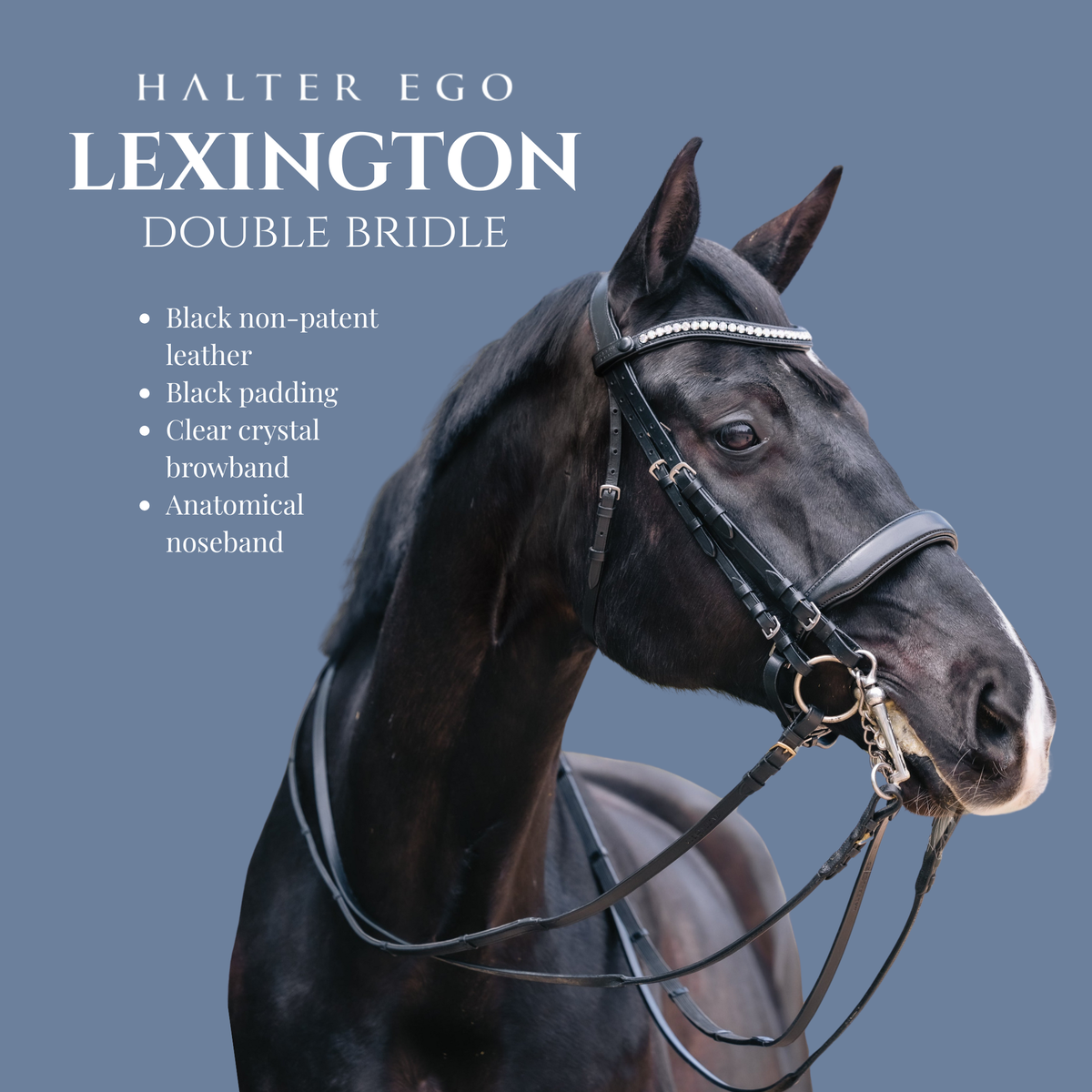 Halter Ego® 'Lexington' Non-Patent Black Leather Double Bridle