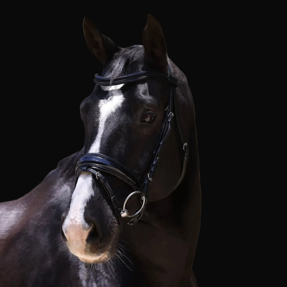 Natalia Black Patent Snaffle Bridle