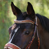 The Willow - Cognac Leather Snaffle Bridle