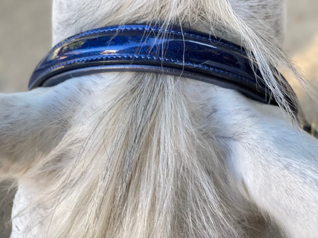 The Revolution Cobalt Blue Leather Halter - &#39;Pathway to the Podium&#39;