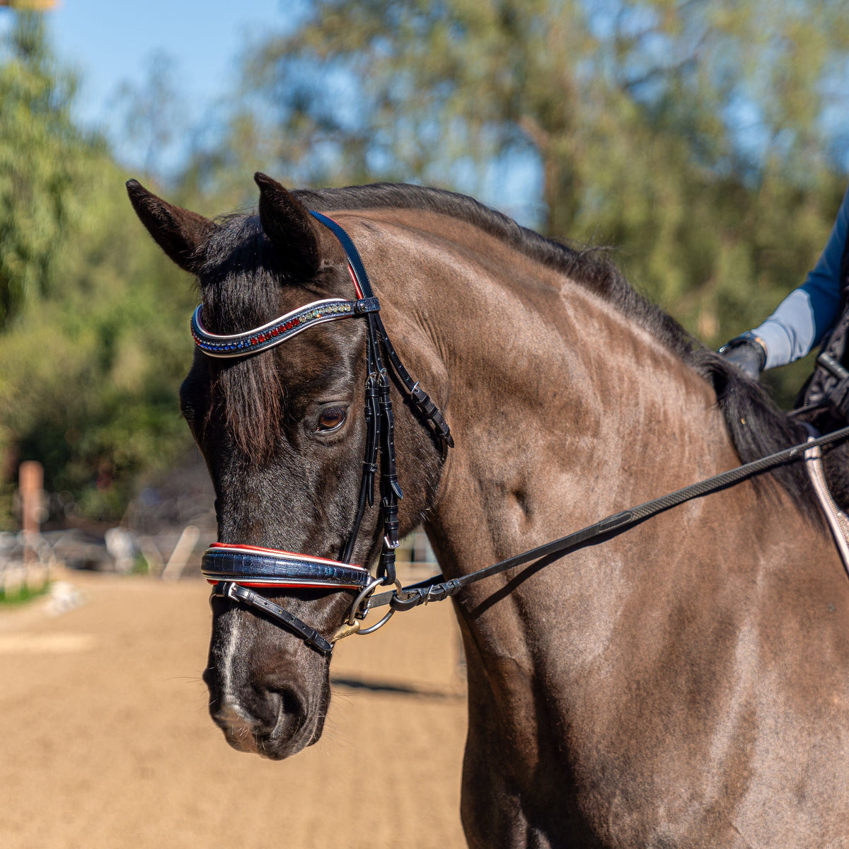 The Independence Metallic Blue Croc Snaffle Bridle - (Pathway to the Podium Collection)