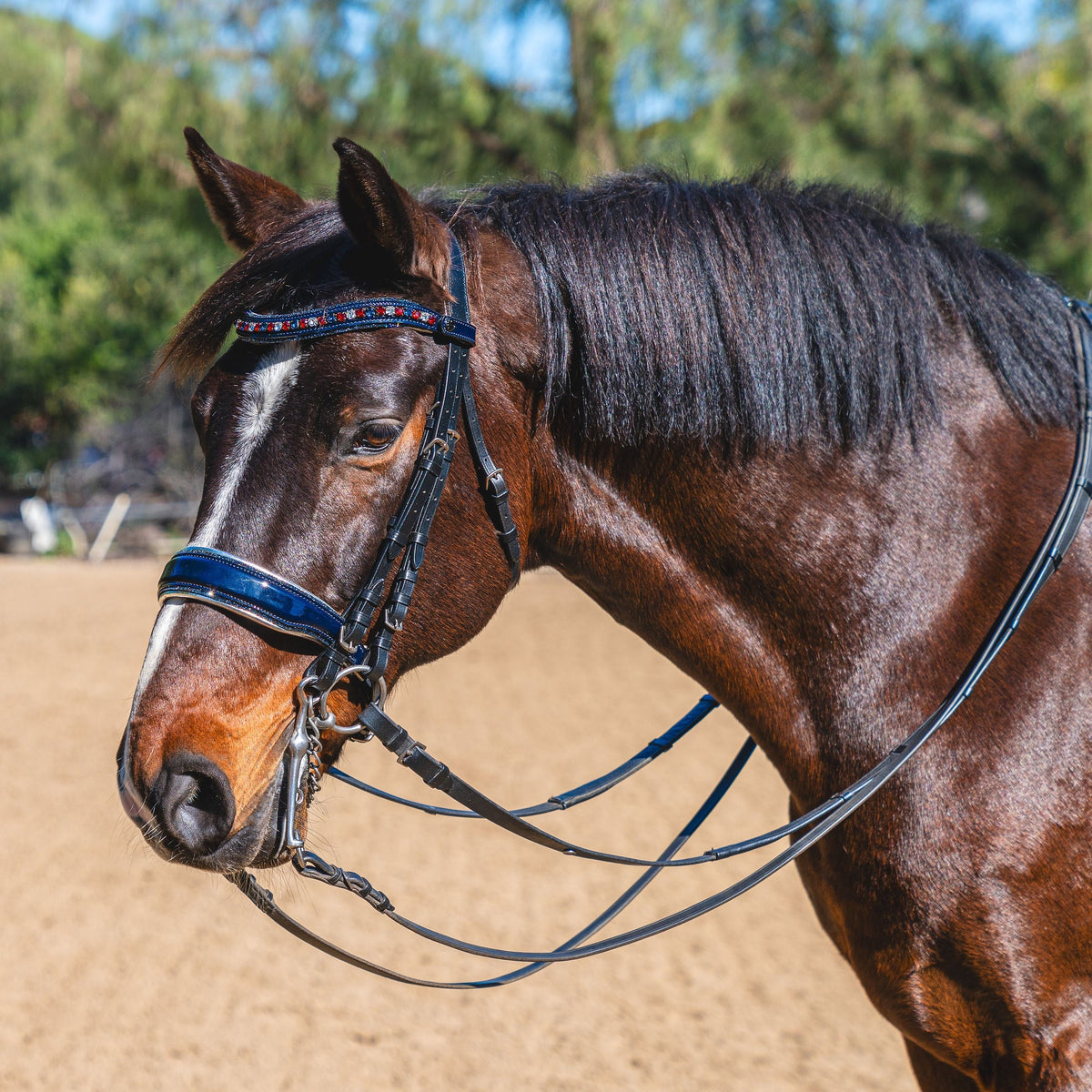 The Captain America Metallic Navy Patent Leather Double Bridle (Pathway to the Podium Collection)