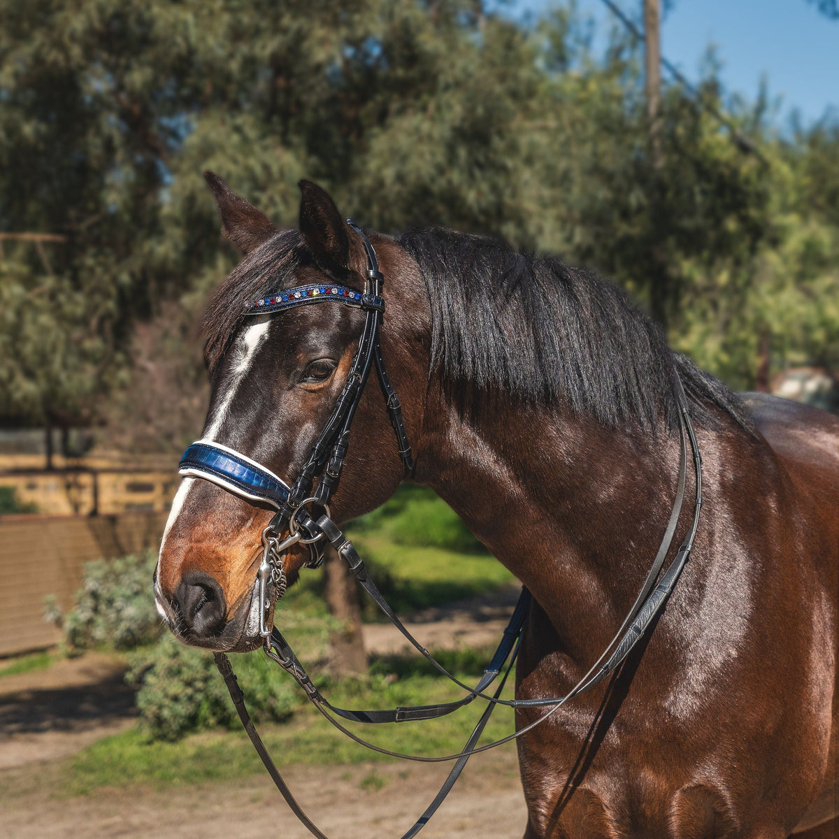 The Rushmore Metallic Navy Leather Convertible Bridle - (Pathway to the Podium Collection)