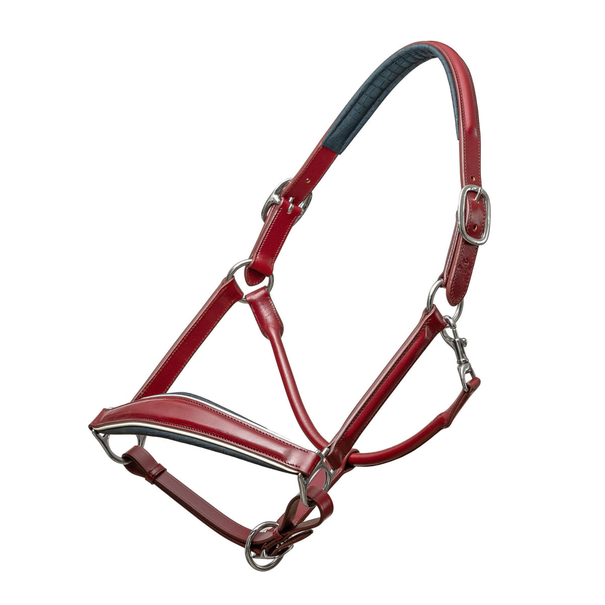 The Boston Red Leather Halter (Pathway to the Podium Collection)