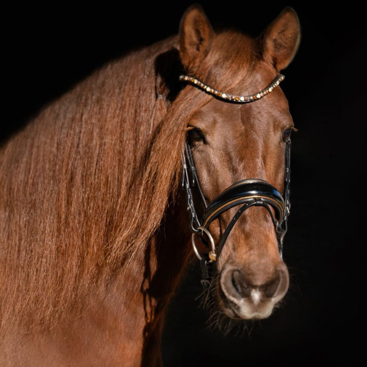 Geneva - Black Patent Snaffle Bridle with Metallic Gold Piping with Removable Flash