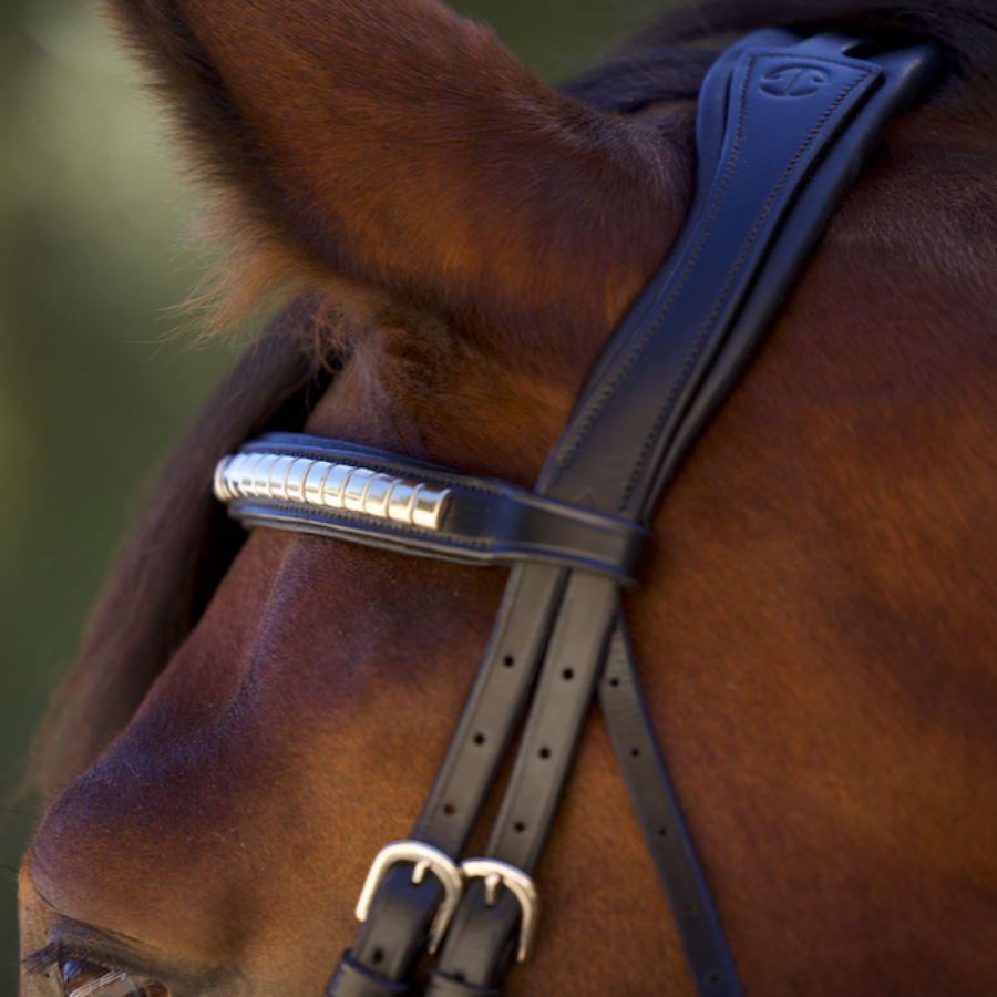 Galway Bridle - Wide Silver Clincher Jumper Bridle