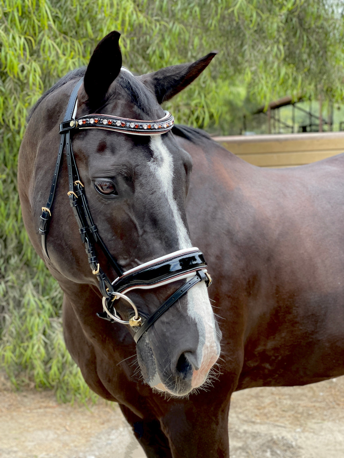 Taos Black Patent Snaffle Bridle with INVISIBLE REMOVABLE FLASH