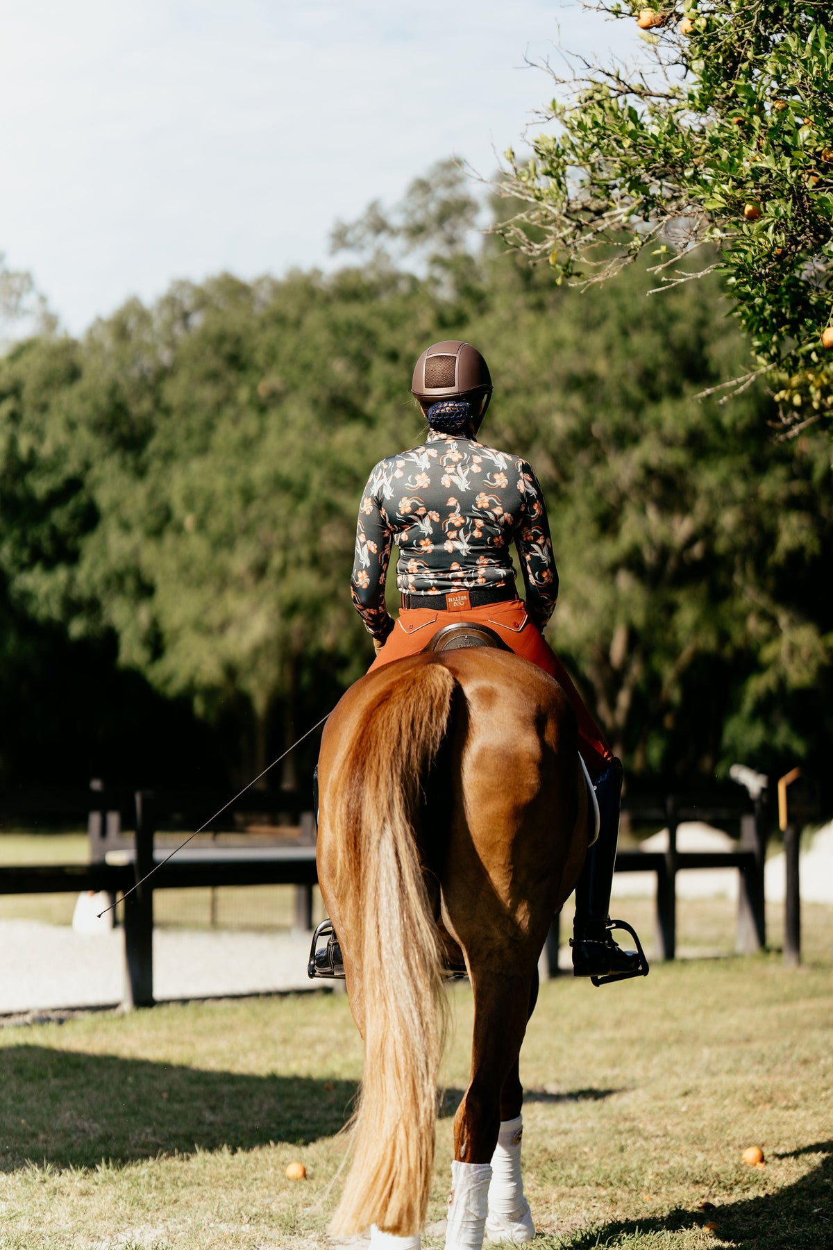 D. D. Impulsion &amp; Straightness WENDY Long Sleeved Training Shirt