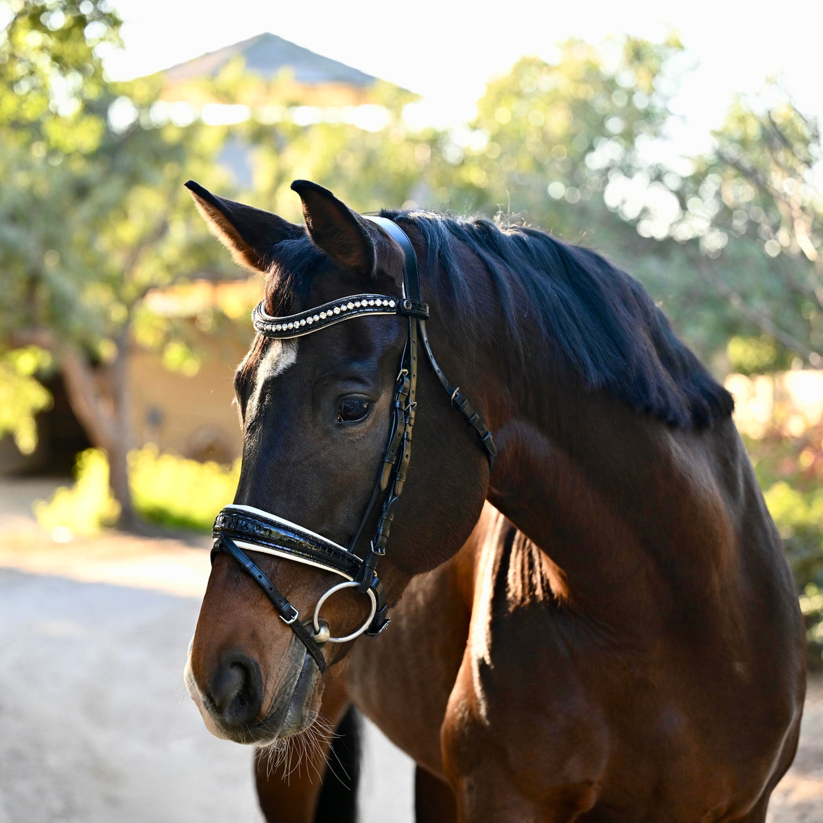 The Harlow Black Patent Snaffle Bridle with Removable Flash