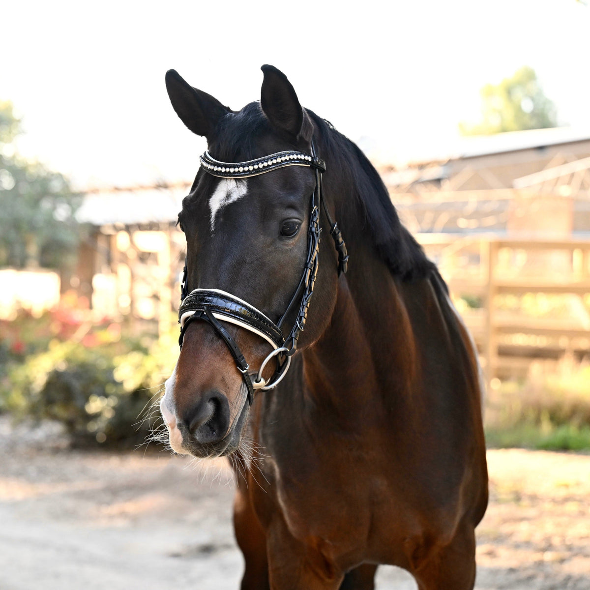 The Harlow Black Patent Snaffle Bridle with Removable Flash