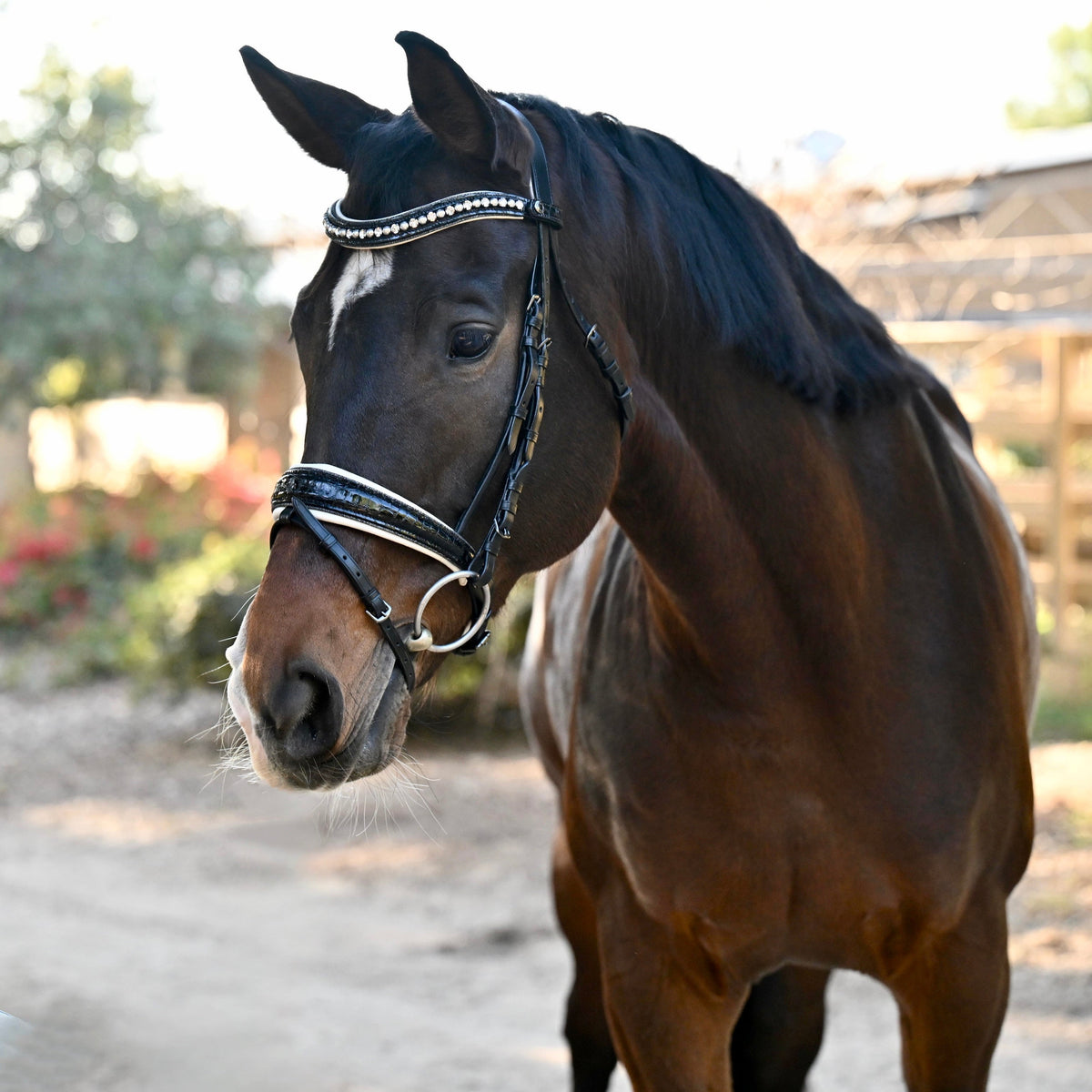 The Harlow Black Patent Snaffle Bridle with Removable Flash