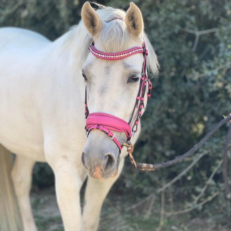 The Barbie Pink Leather Snaffle Bridle