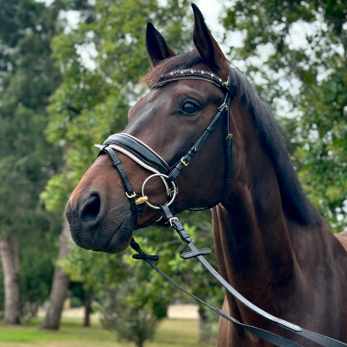 Taos Black Patent Snaffle Bridle with INVISIBLE REMOVABLE FLASH