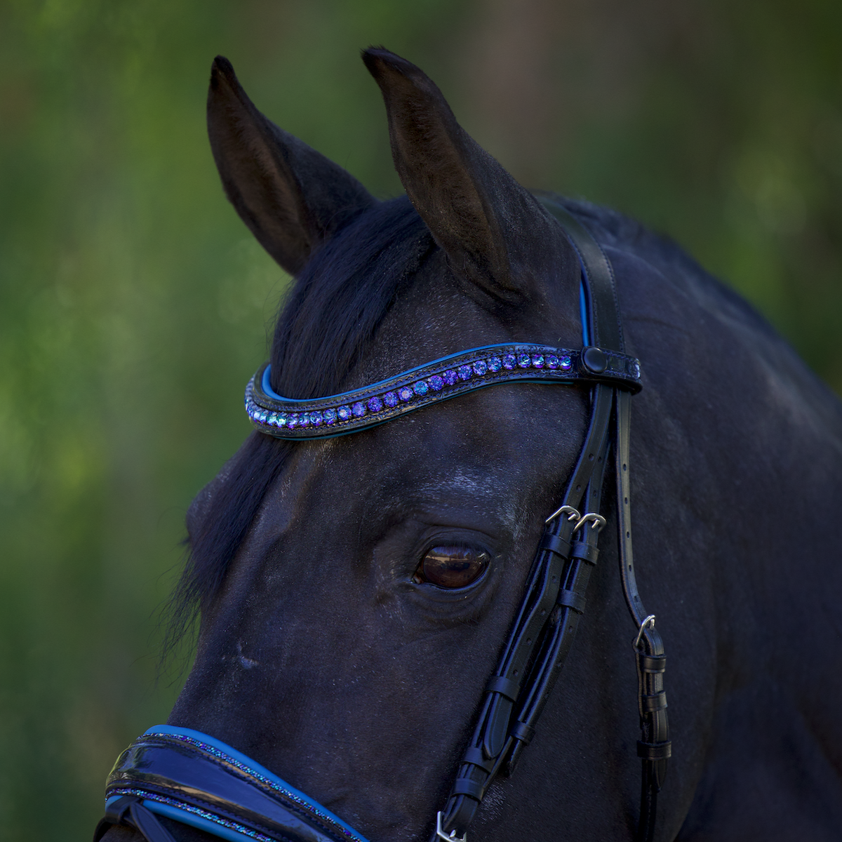Limited Edition Galaxy Browband