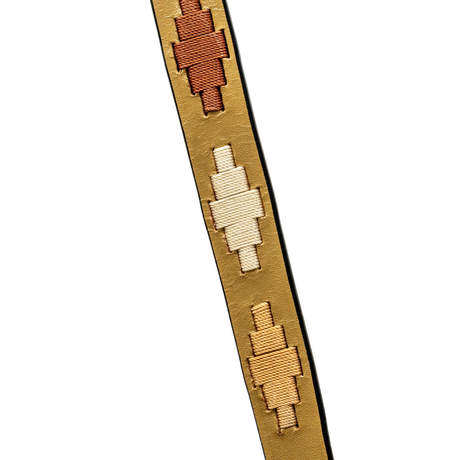 Gilded Solstice Leather Dog Leash
