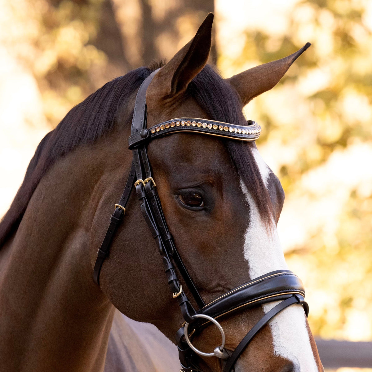 Milan - Black Leather Snaffle Bridle with Burnished Gold Piping