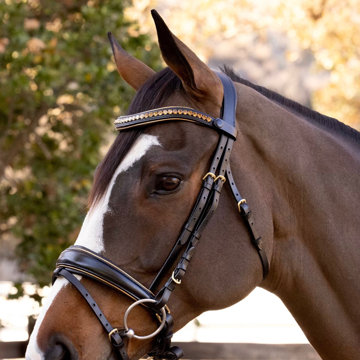 Milan - Black Leather Snaffle Bridle with Burnished Gold Piping
