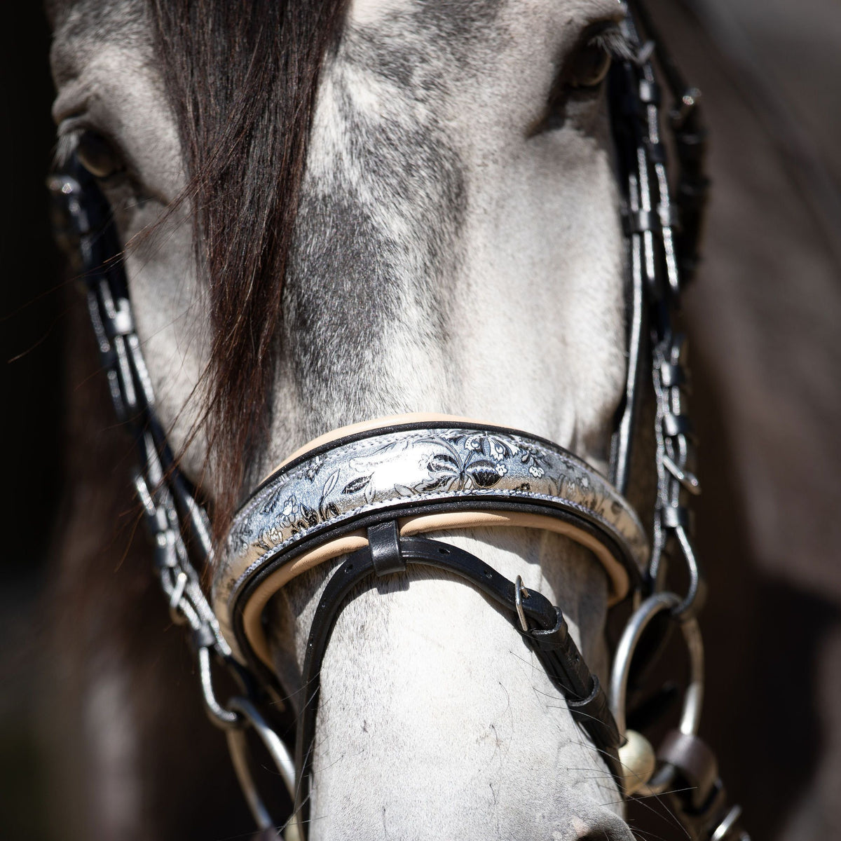 Limited Edition Venetian Bridle with Cream Flash