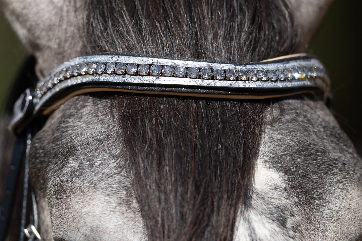 Limited Edition Venetian Bridle with Cream Flash