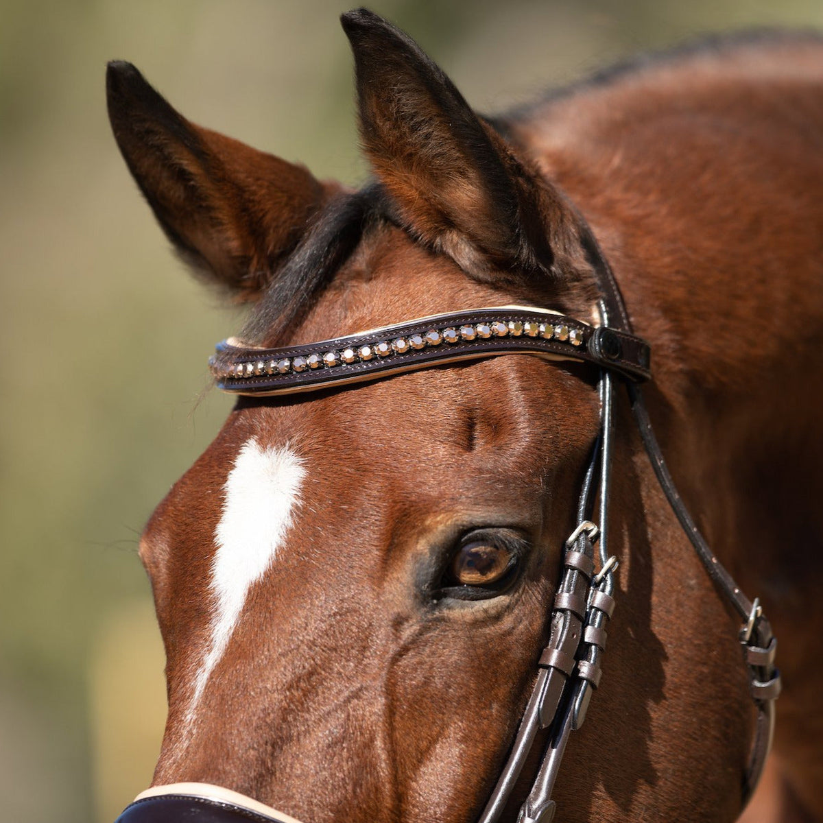 Florentina - Brown Patent Leather Snaffle with LIMITED EDITION BROWBAND