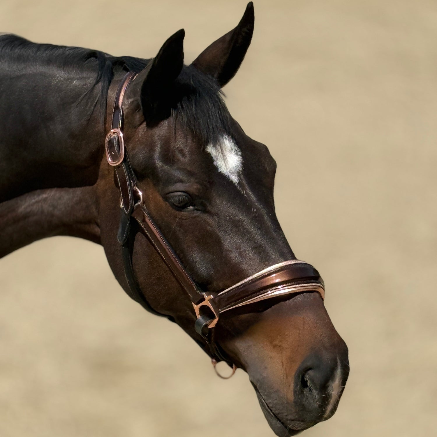 Gilded Mocha - Metallic Bronze Patent Conical Padded Halter with Rose Gold Padding & Piping