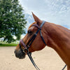 Rose Medusa Snaffle Bridle with Multicolor Vintage Rose Toned Glitter Piping