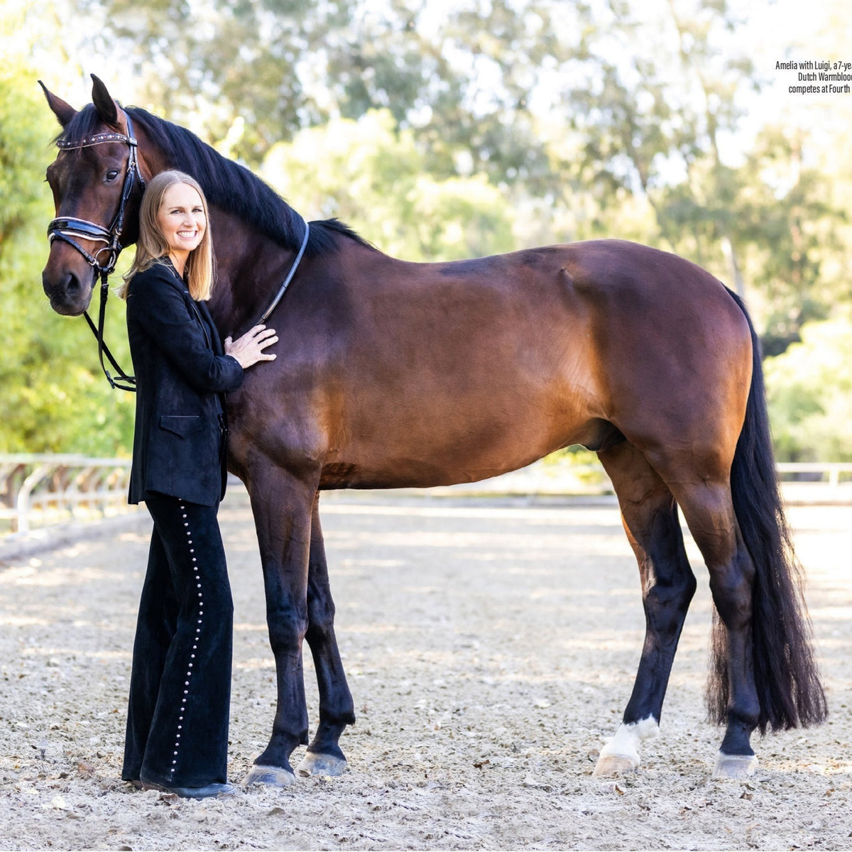 Taos Black Patent Leather Snaffle Bridle