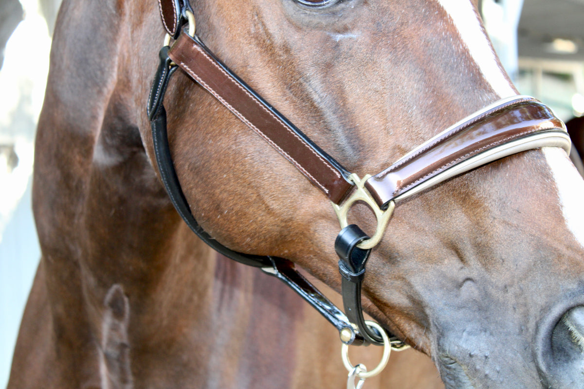 Catalonia Metallic Bronze Leather Halter