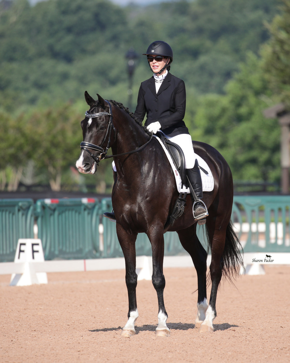 The Eiffel Tower Black Leather Snaffle Bridle