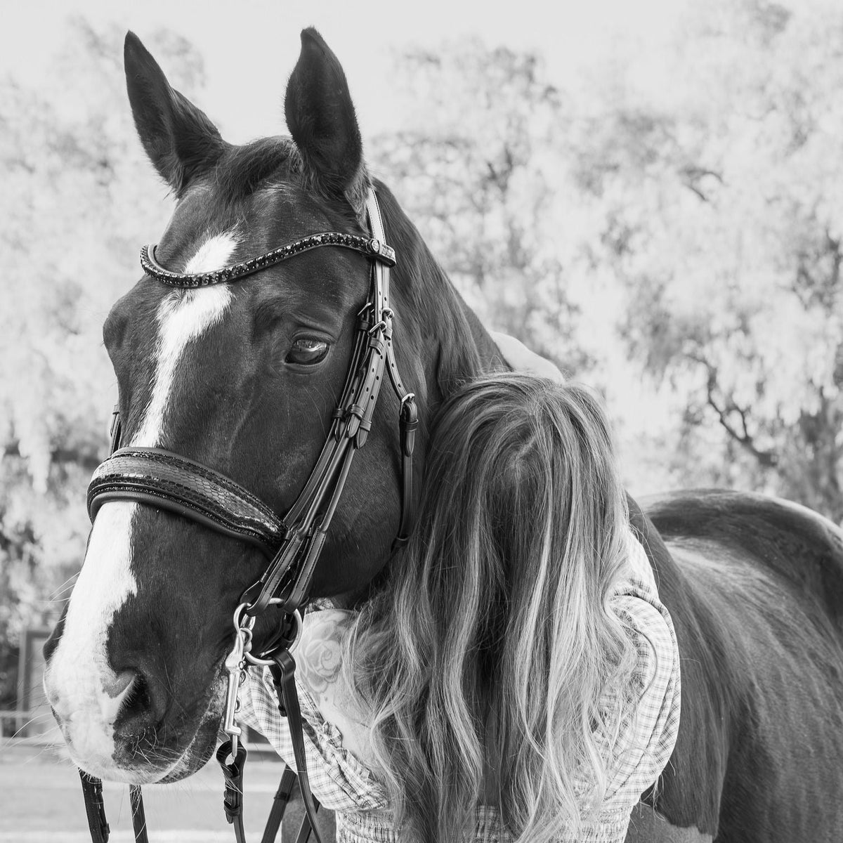 The Viper – Black Patent Double Bridle with Graphite Padding