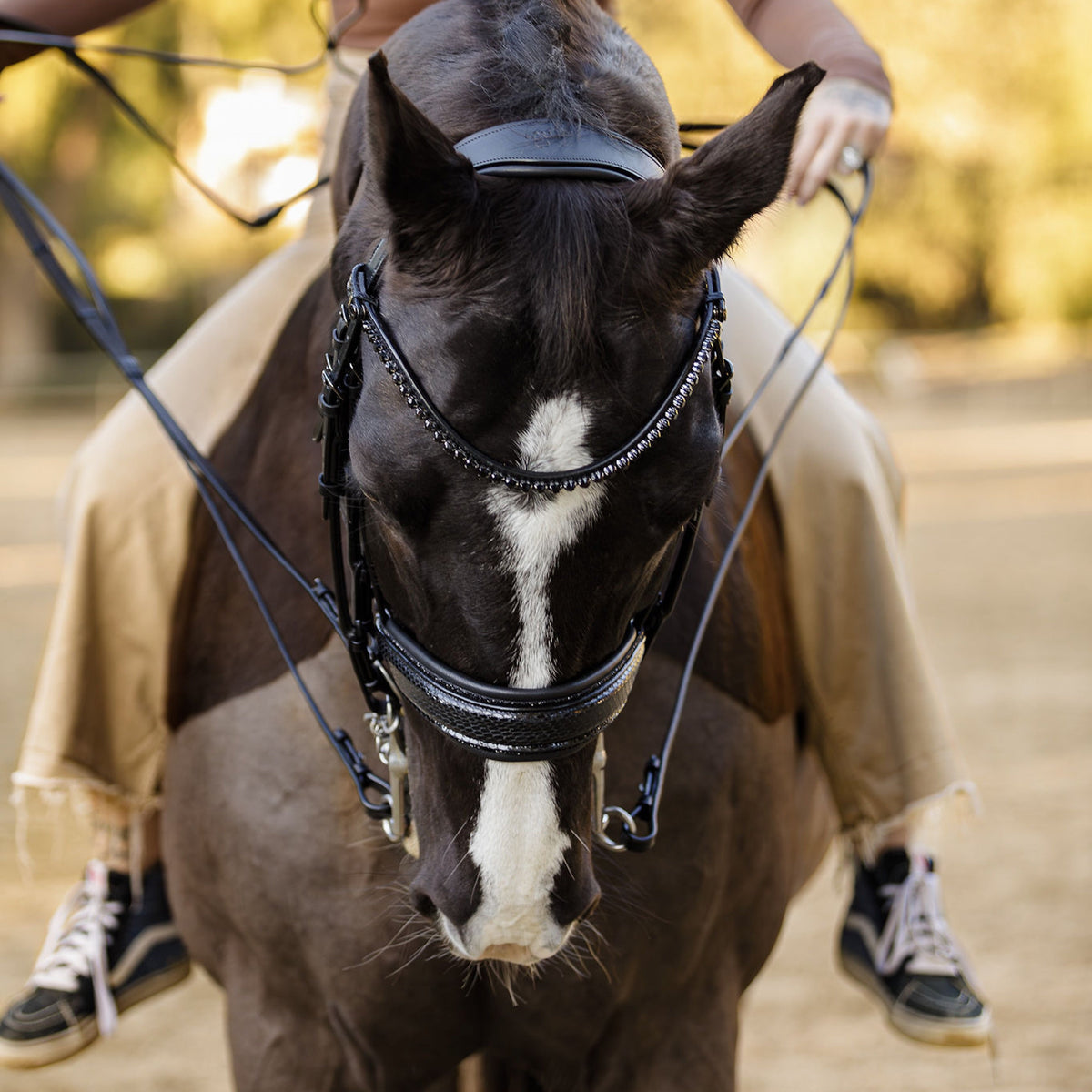 The Viper – Black Patent Double Bridle with Graphite Padding
