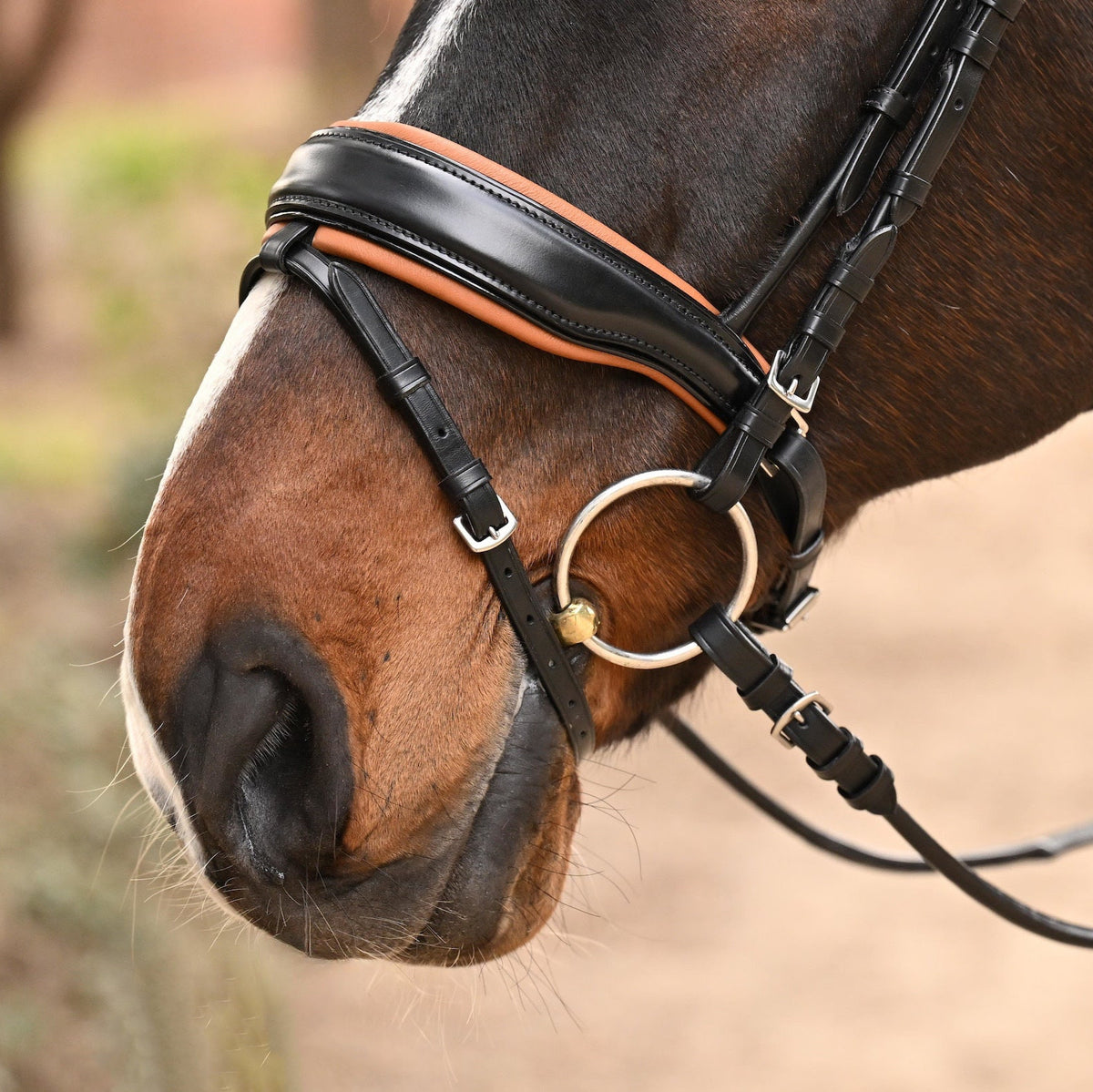 The Tuscany Black Leather Rolled Leather Snaffle Bridle with Removable Flash